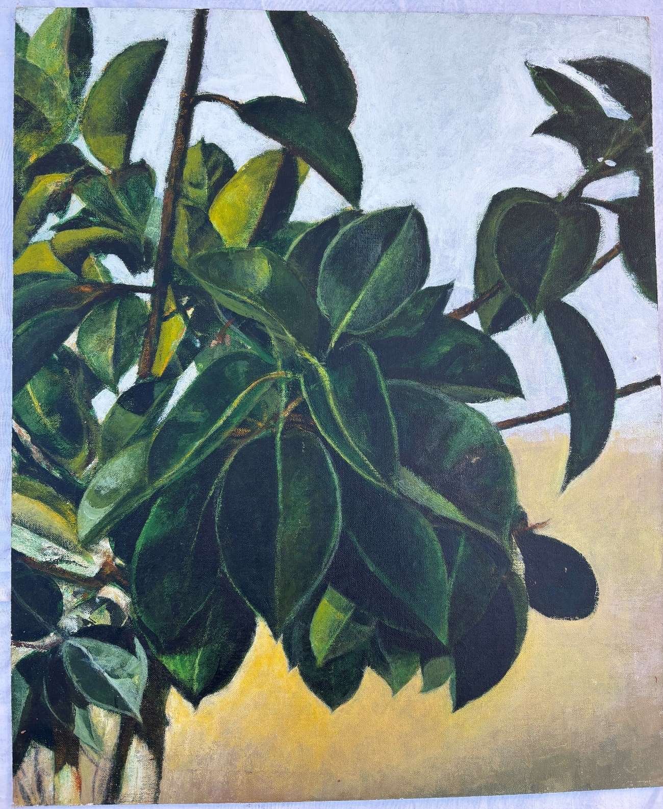 Paisaje